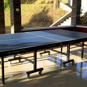 Meja Ping Pong